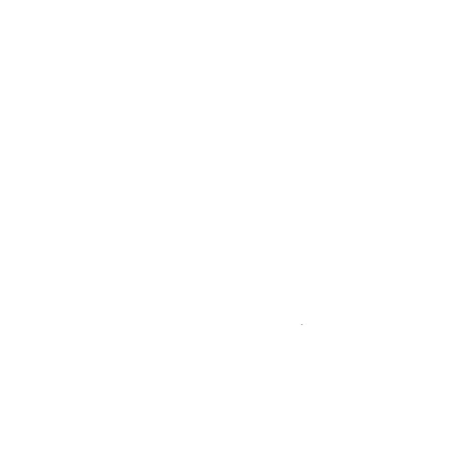 Diving Austral Logo